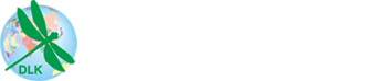 統(tǒng)帥裝飾